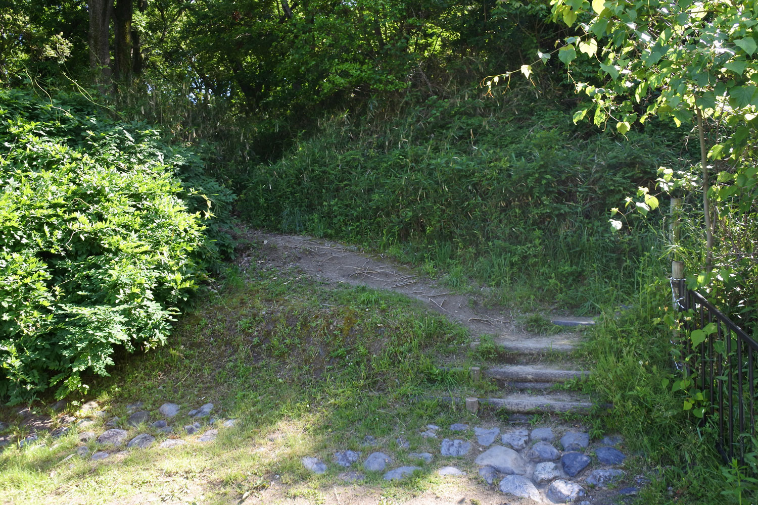 今城塚古墳公園の古墳入り口