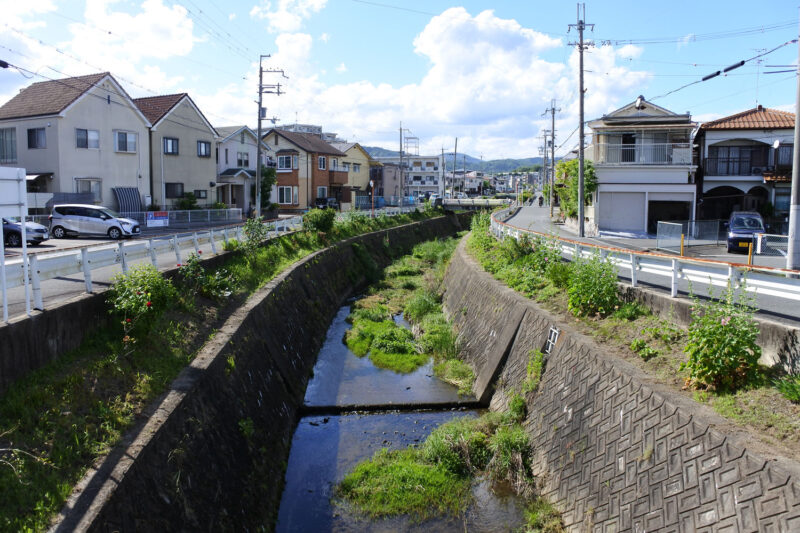 今城塚古墳公園までの川沿い