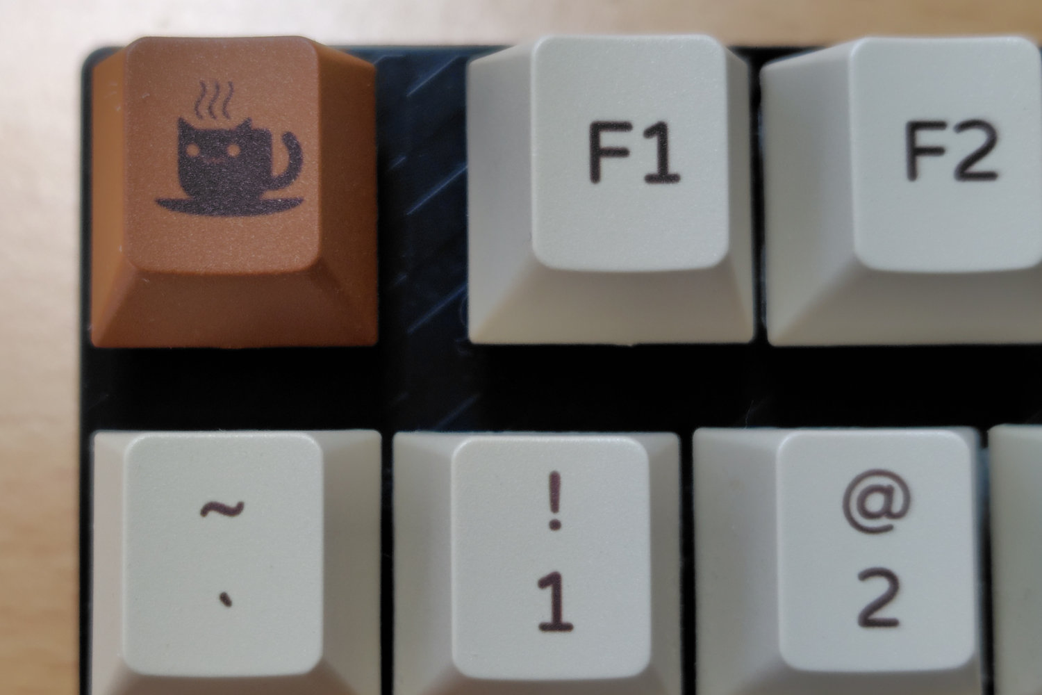 コーヒー猫キャップの拡大写真