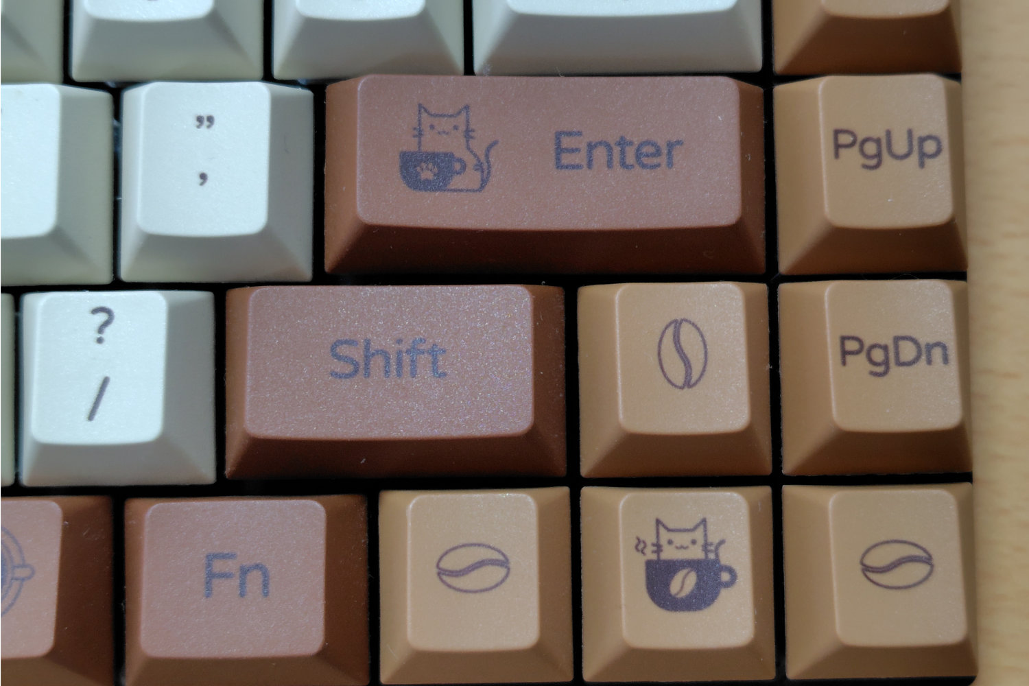 コーヒー猫キャップの拡大写真