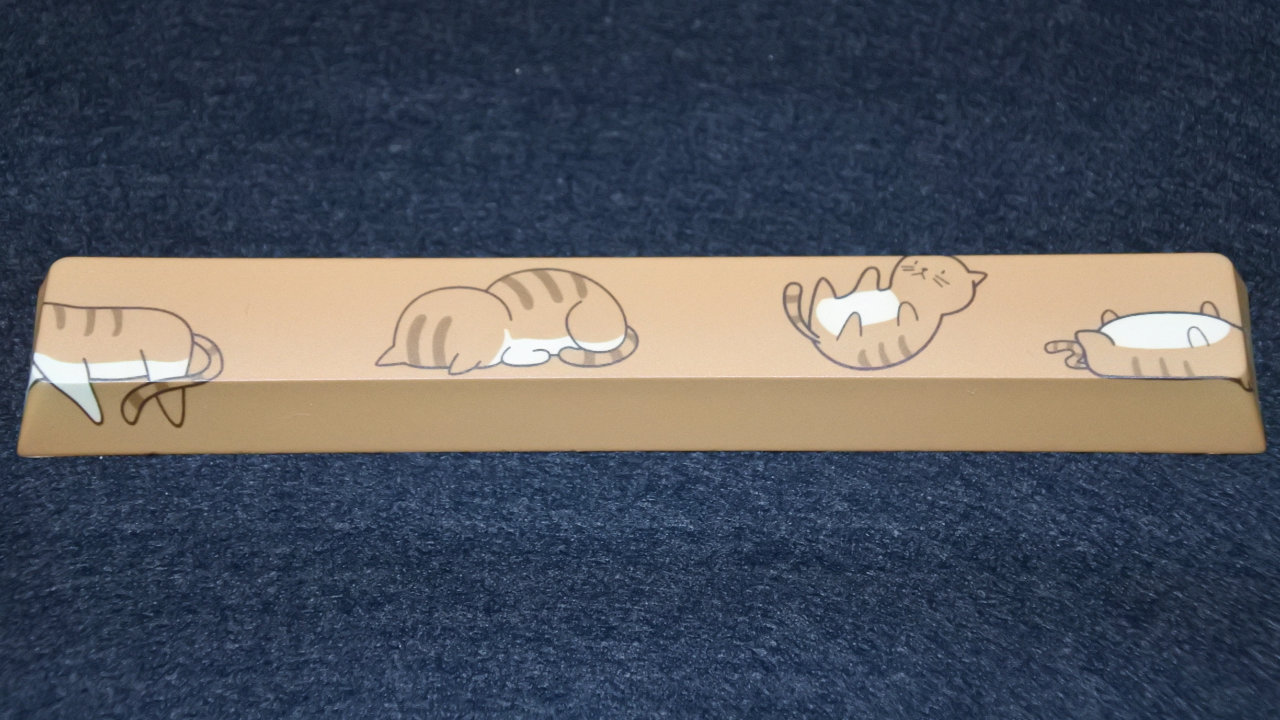 コーヒー猫キャップ記事のアイキャッチ画像