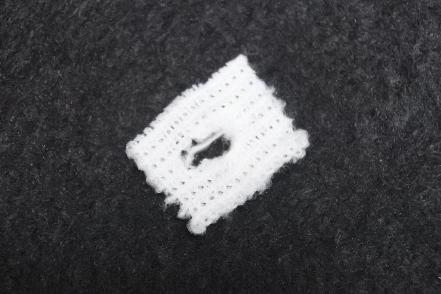 切り分けたサポーターの写真